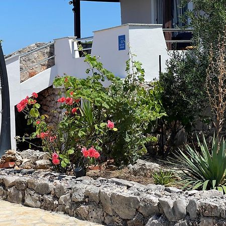 Holiday House Rusticana Sali, Dugi Otok Near Np Kornati Exterior photo